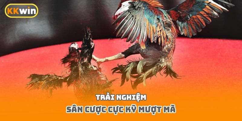 Trải nghiệm sân cược cực kỳ mượt mà